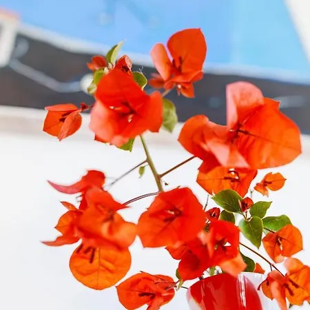 Fratta Suite- The Peace Of Senses * Sorrento