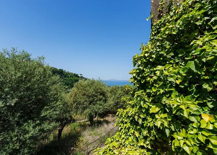 Apartamento Fratta
