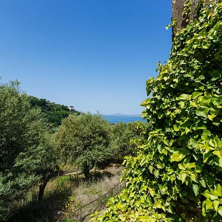 Apartmán Villa Fratta