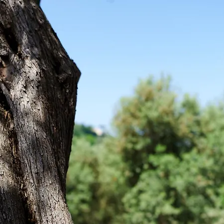 Apartmán Villa Fratta